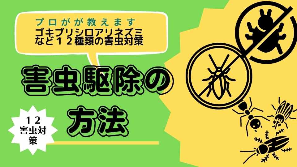 害虫駆除の方法〜ハチ、シロアリ、ムカデ、ネズミなど12選【専門家監修】